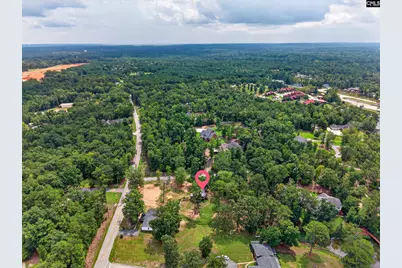 3249 Driftwood Point Road, Gilbert, SC 29054 - Photo 22