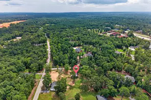 3249 Driftwood Point Rd, Gilbert, SC 29054 - Photo 22
