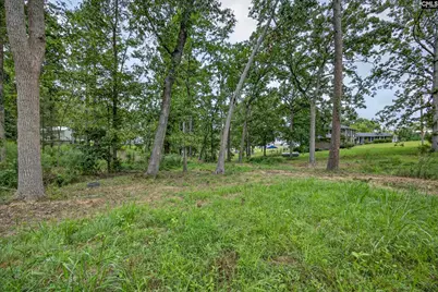 3249 Driftwood Point Road, Gilbert, SC 29054 - Photo 30
