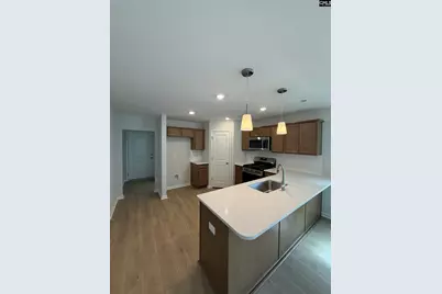233 Laurinton Farms Drive, Hopkins, SC 29061 - Photo 4