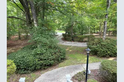1043 Old Bush River Road, Chapin, SC 29036 - Photo 28