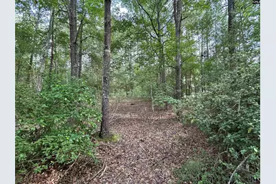 1043 Old Bush River Road, Chapin, SC 29036 - Photo 22