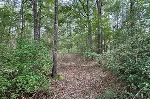 1043 Old Bush River Rd, Chapin, SC 29036 - Photo 22