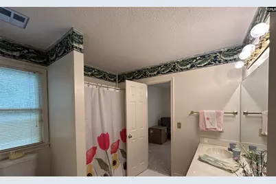 1043 Old Bush River Road, Chapin, SC 29036 - Photo 14