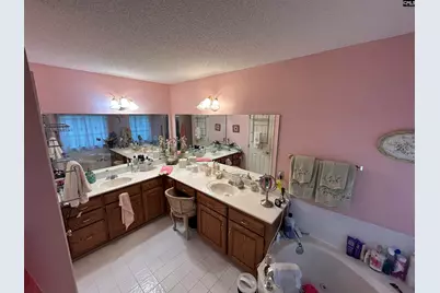 1043 Old Bush River Road, Chapin, SC 29036 - Photo 10