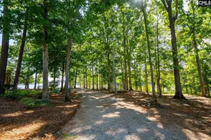 1201 Taylor Rd, Batesburg, SC 29006 - Photo 86