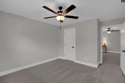 132 Irish Setter Street, Chapin, SC 29036 - Photo 26
