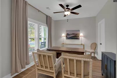 132 Irish Setter Street, Chapin, SC 29036 - Photo 4