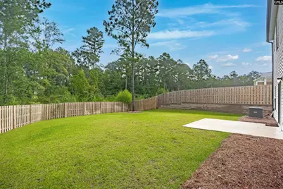 132 Irish Setter Street, Chapin, SC 29036 - Photo 36