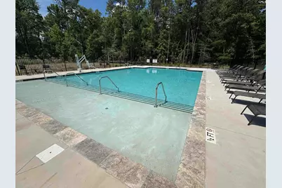 132 Irish Setter Street, Chapin, SC 29036 - Photo 38