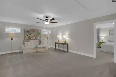 132 Irish Setter Street, Chapin, SC 29036 - Photo 18
