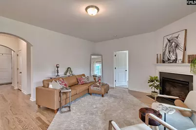 1127 Portrait Hill Drive, Chapin, SC 29036 - Photo 6