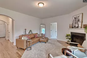 1127 Portrait Hill Dr, Chapin, SC 29036 - Photo 6