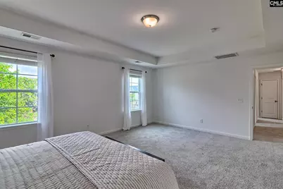 1127 Portrait Hill Drive, Chapin, SC 29036 - Photo 18