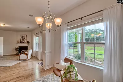 1127 Portrait Hill Drive, Chapin, SC 29036 - Photo 14