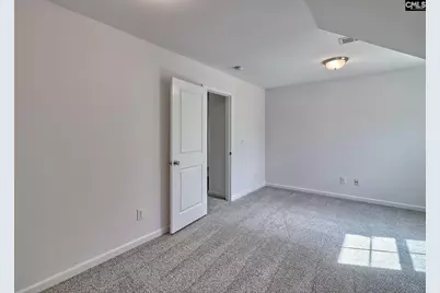 1127 Portrait Hill Drive, Chapin, SC 29036 - Photo 36