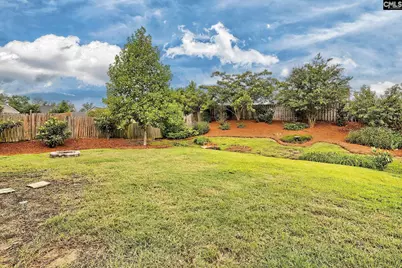 1127 Portrait Hill Drive, Chapin, SC 29036 - Photo 38