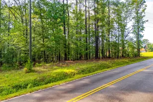 911 Barfield Rd, Elgin, SC 29045 - Photo 10