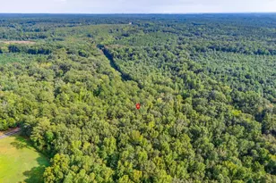 911 Barfield Rd, Elgin, SC 29045 - Photo 6