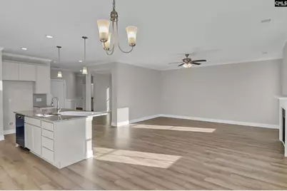 266 Secretariat Street, Lexington, SC 29073 - Photo 16