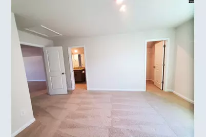 351 Chapin Place Way, Chapin, SC 29036 - Photo 24