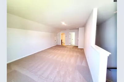 351 Chapin Place Way, Chapin, SC 29036 - Photo 22