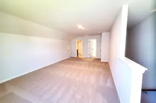 351 Chapin Pl Wy, Chapin, SC 29036 - Photo 22