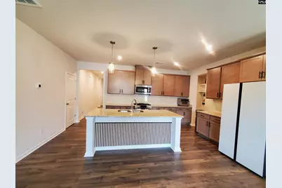351 Chapin Place Way, Chapin, SC 29036 - Photo 8