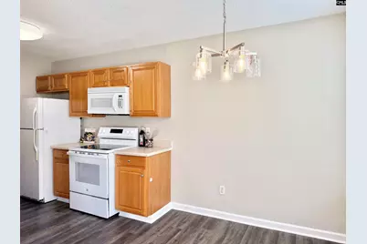 109 Owl Trace Lane, Chapin, SC 29036 - Photo 6