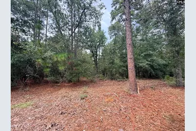 731 Edisto Lake Road, Wagener, SC 29164 - Photo 14