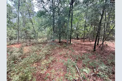 731 Edisto Lake Road, Wagener, SC 29164 - Photo 10
