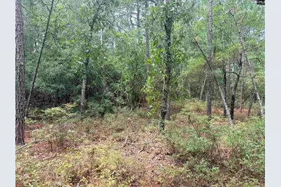 731 Edisto Lake Road, Wagener, SC 29164 - Photo 8