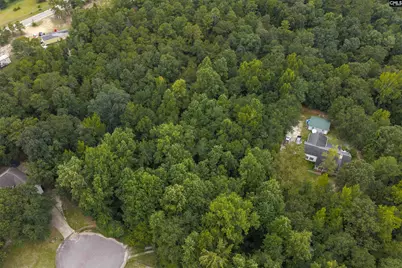 120 Painted Pony Court #13, Elgin, SC 29045 - Photo 4