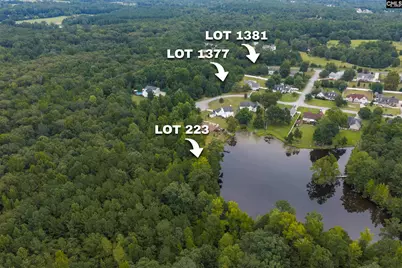223 Painted Pony Court #22, Elgin, SC 29045 - Photo 6