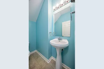 110 Spring Frost Drive, Lexington, SC 29072 - Photo 26