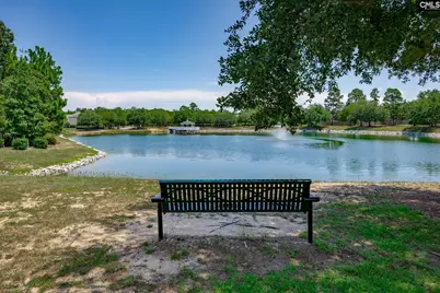110 Spring Frost Drive, Lexington, SC 29072 - Photo 70