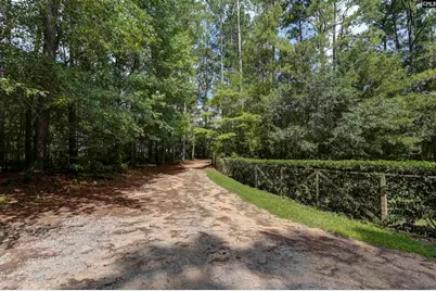 2051 Derrick Hollow Road, Leesville, SC 29070 - Photo 6