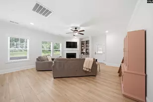 149 Collins Cv Dr, Chapin, SC 29036 - Photo 12