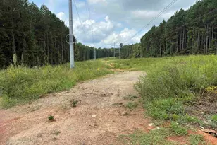 Hwy 121 &amp 34 C R Koon Hwy, Silverstreet, SC 29108 - Photo 1