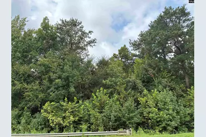Hwy 121 &amp; 34 C.R. Koon Hwy, Silverstreet, SC 29108 - Photo 4