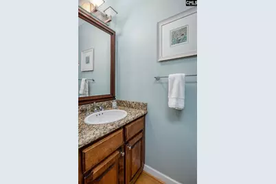227 Holly Ridge Lane, West Columbia, SC 29169 - Photo 24