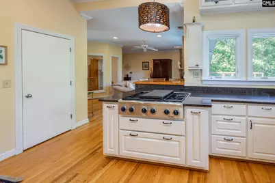 227 Holly Ridge Lane, West Columbia, SC 29169 - Photo 12