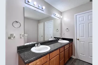 523 Whitewater Drive, Irmo, SC 29063 - Photo 16
