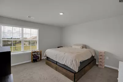 246 Carrington Drive, Lugoff, SC 29078 - Photo 22