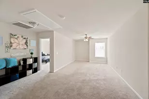 363 Explorer Dr, Chapin, SC 29063 - Photo 22