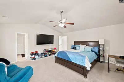 363 Explorer Drive, Chapin, SC 29063 - Photo 26