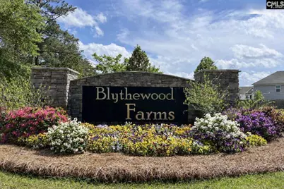 3064 Hanging Valley Road, Blythewood, SC 29016 - Photo 30