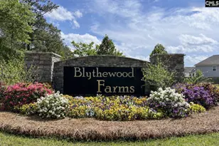 3064 Hanging Valley Rd, Blythewood, SC 29016 - Photo 30