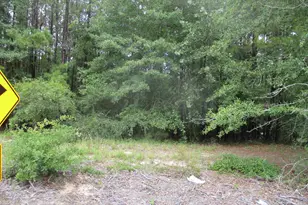 270 Clearwater Rd, Camden, SC 29020 - Photo 1