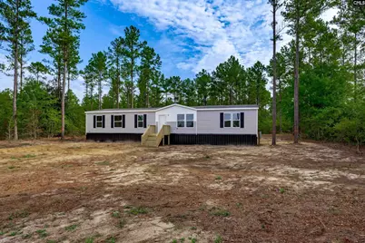 383 Otis Baughman S.R. Road, Wagener, SC 29164 - Photo 38
